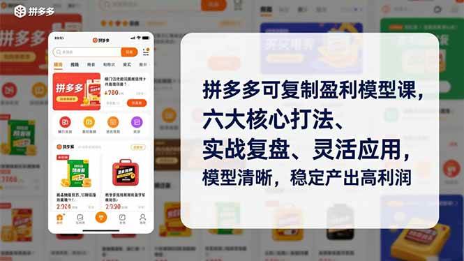 （16952期）拼多多可复制盈利模型课，六大核心打法、实战复盘、灵活应用，模型清晰，稳定产出高利润-研习库