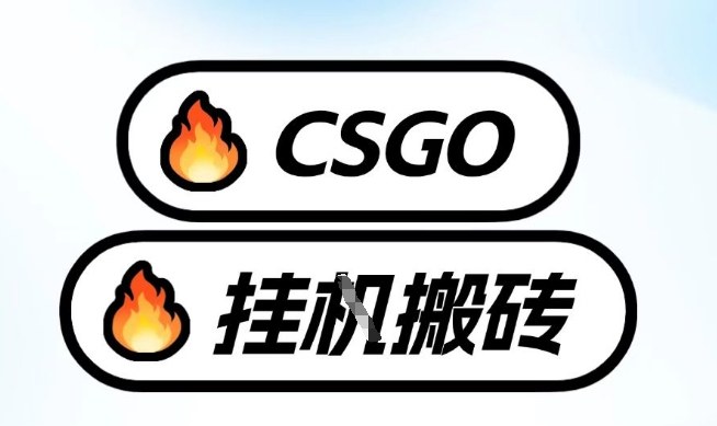 真全网独家CSGO挂G,最新玩法,单日捡漏1K+,不用电脑,不用打游戏【揭秘】-研习库