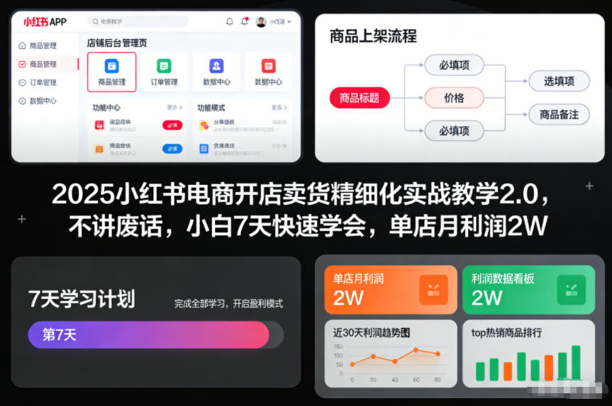 2025小红书电商开店卖货精细化实战教学2.0，不讲废话，小白7天快速学会，单店月利润2W-研习库