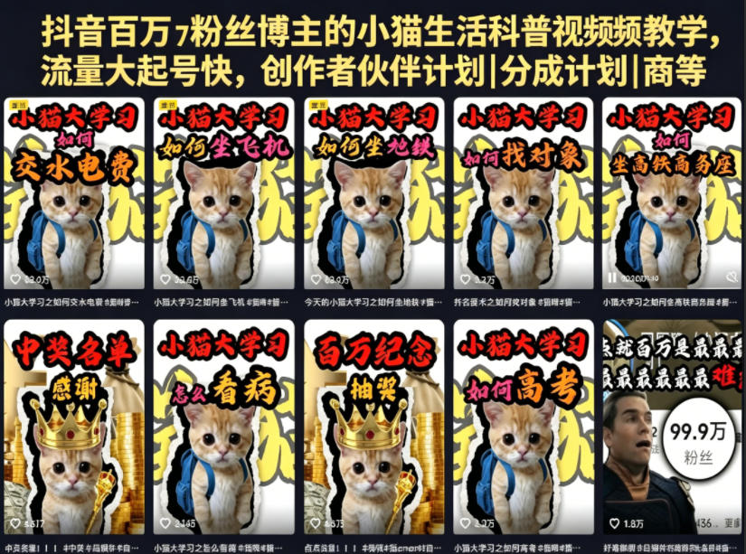 抖音百万粉丝博主的小猫生活科普视频教学，流量大起号快，创作者伙伴计划|分成计划|商单|收徒等-研习库