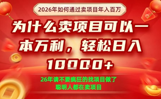 一单净利润1K+,26年想年入100个W,死磕卖项目就够了【揭秘】-研习库