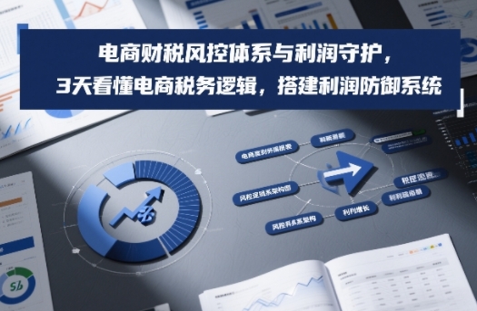 电商财税风控体系与利润守护,3天看懂电商税务逻辑,搭建利润防御系统-研习库