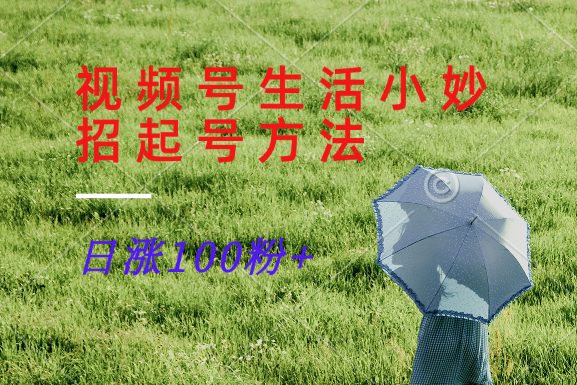 视频号生活小妙招分享赛道, 起号涨粉新方法,日涨100粉-研习库