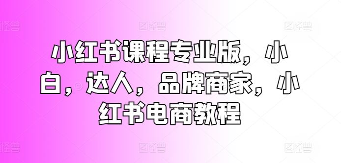 小红书课程专业版，小白，达人，品牌商家，小红书电商教程-研习库