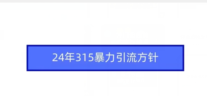 24年315暴力引流方针-研习库