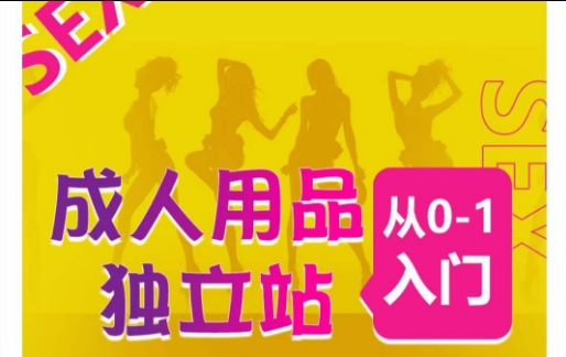 成人用品独立站从0-1入门，成品独立站运营全流程教学，七大好卖成品独立站推荐-研习库