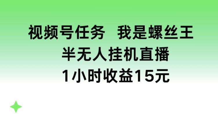 视频号任务,我是螺丝王, 半无人挂机1小时收益15元【揭秘】-研习库