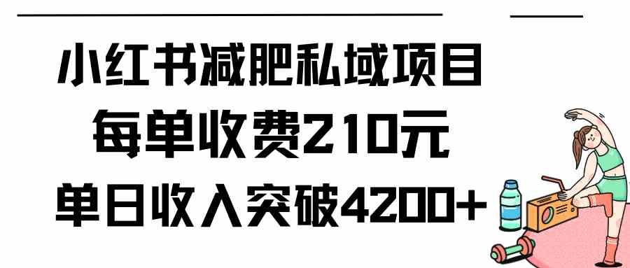 (9466期)小红书减肥私域项目每单收费210元单日成交20单,最高日入4200+