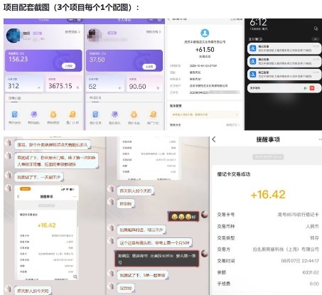 当天能收益的3个小项目拆解_包括平台+操作流程-研习库
