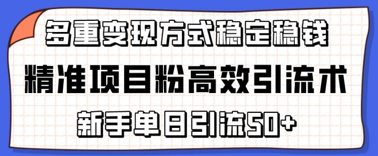 精准项目粉高效引流术，新手单日引流50+，多重变现方式稳定赚钱-研习库