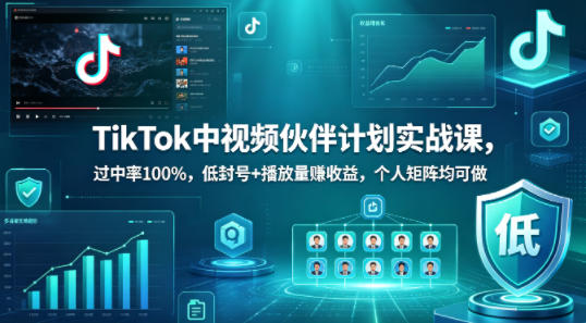 TikTok中视频伙伴计划实战课，过中率100%，低封号+播放量賺收益，个人矩阵均可做-研习库