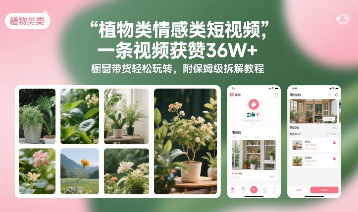 植物类情感类短视频，一条视频获赞36W+，橱窗带货轻松玩转，附保姆级拆解教程-研习库