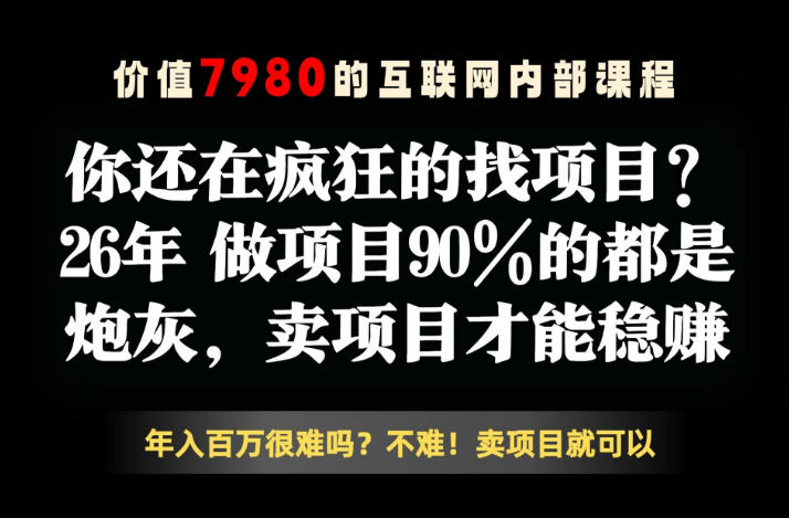 26年请不要疯狂的找项目了，卖项目远比你想象的暴利，你也可以月入10W+【揭秘】-研习库