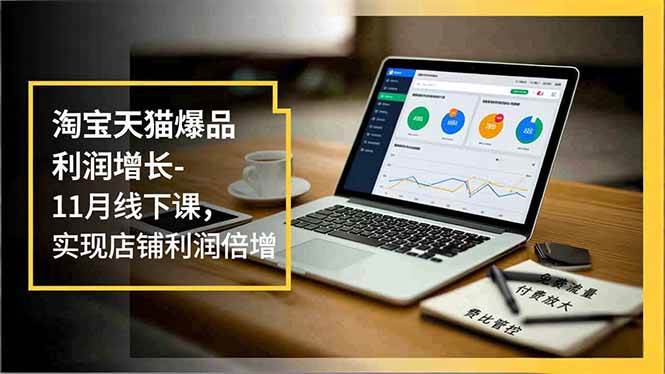 (16824期)淘宝天猫爆品利润增长-11月线下课,免费流量、付费放大、费比管控,实现店铺利润倍增-研习库