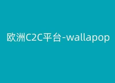 欧洲C2C平台-wallapop-kim跨境电商教程-研习库