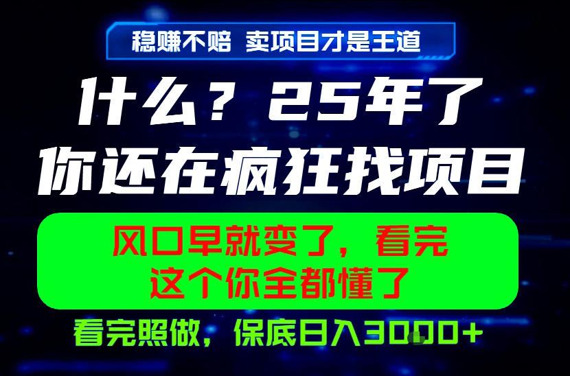 26年,请不要疯狂的找项目做了!卖项目才是真的稳賺不赔,看完照做,保底日入1k+【揭秘】-研习库