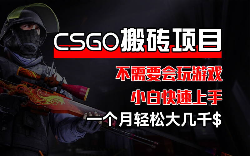 (12332期)CSGO 装备搬砖项目,操作简单,不需要会玩游戏,小白也能快速上手,一…-研习库