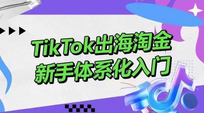 TikTok出海淘金，新手体系化入门，零基础快速入门，掌握短视频、直播带货等引流到变现的知识-研习库