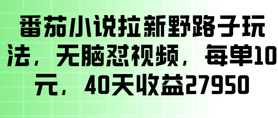 番茄小说拉新野路子玩法,无脑怼视频,玩法简单、见效快,每单10米,40天收益27950-研习库
