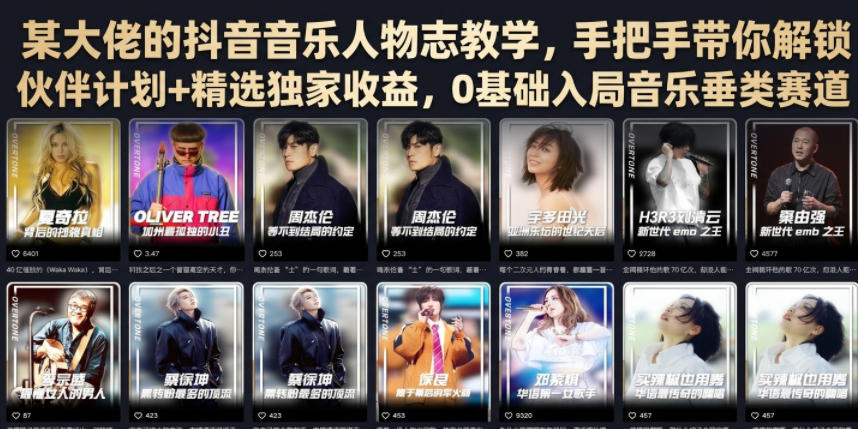 某大佬的抖音音乐人物志教学,手把手带你解锁伙伴计划+精选独家收益,0基础入局音乐垂类赛道-研习库