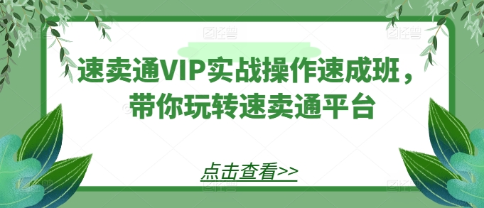 速卖通VIP实战操作速成班,带你玩转速卖通平台