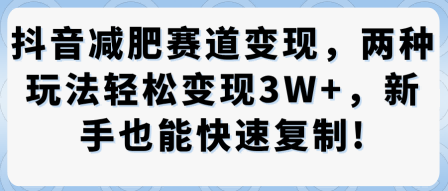 抖音减肥赛道变现,两种玩法轻松变现3W+,新手也能快速复制-研习库