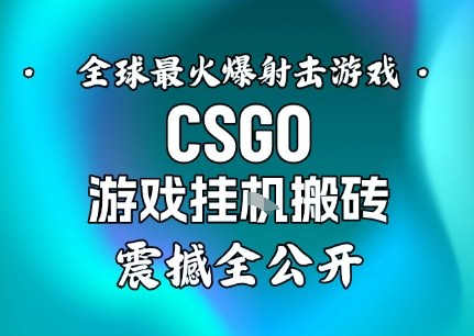 【年底大揭秘】基于全球最火爆的射击CSGO游戏挂G搬砖,日入5张+,震撼公开-研习库