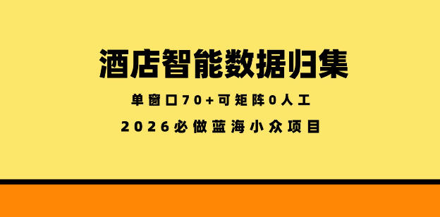 酒店智能数据归集,小众蓝海已经稳定半年之久,单窗口70+零成本矩阵开干【揭秘】-研习库