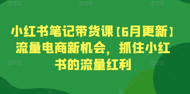 小红书笔记带货课【6月更新】流量电商新机会,抓住小红书的流量红利-研习库