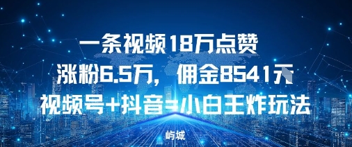 一条视频18W点赞涨粉6.5W,佣金8541视频号+抖音=小白王炸玩法-研习库