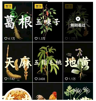 抖音中草药赛道,用AI做中草药故事视频,45条作品涨粉13W,橱窗带货猛猛出单-研习库