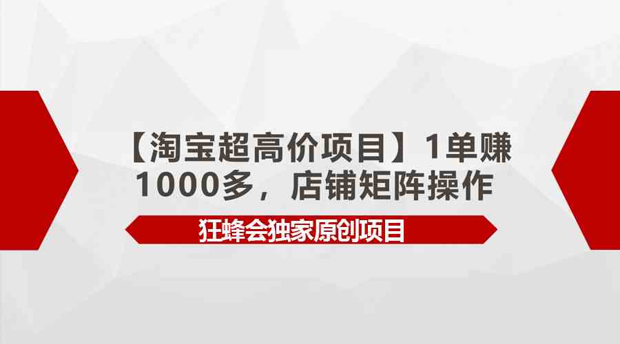 (9849期)【淘宝超高价项目】1单赚1000多,店铺矩阵操作