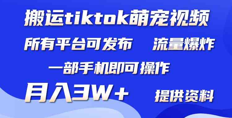 (9618期)搬运Tiktok萌宠类视频,一部手机即可。所有短视频平台均可操作,月入3W+
