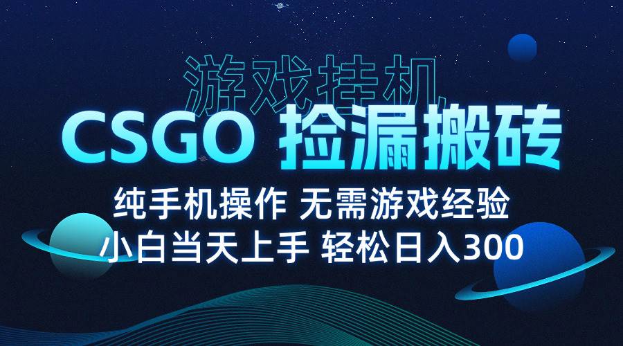 （15820期）8月最新游戏搬砖，CSGO纯挂机，不需要玩游戏，实现真挂机，月入1W+-研习库