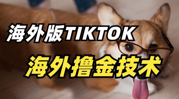 抖音海外版tiktok撸金技术，这个风口行业，赚钱真的不难-研习库