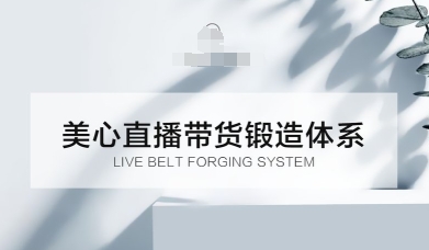 直播带货锻造体系课,5G时代美心一站式帮你开启直播带货之路【音频】-研习库