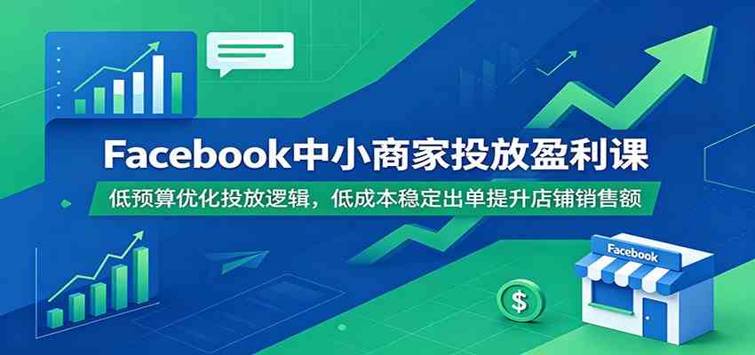 Facebook中小商家投放盈利课:低预算优化投放逻辑,低成本稳定出单提升店铺销售额-研习库