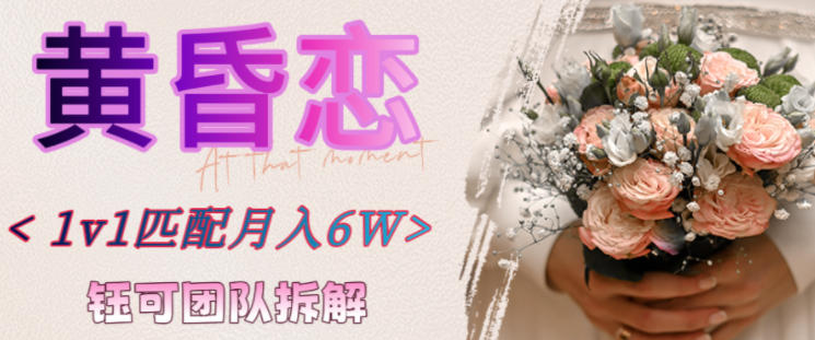 副业拆解：黄昏恋1对1匹配月入6个，潜力巨大-研习库