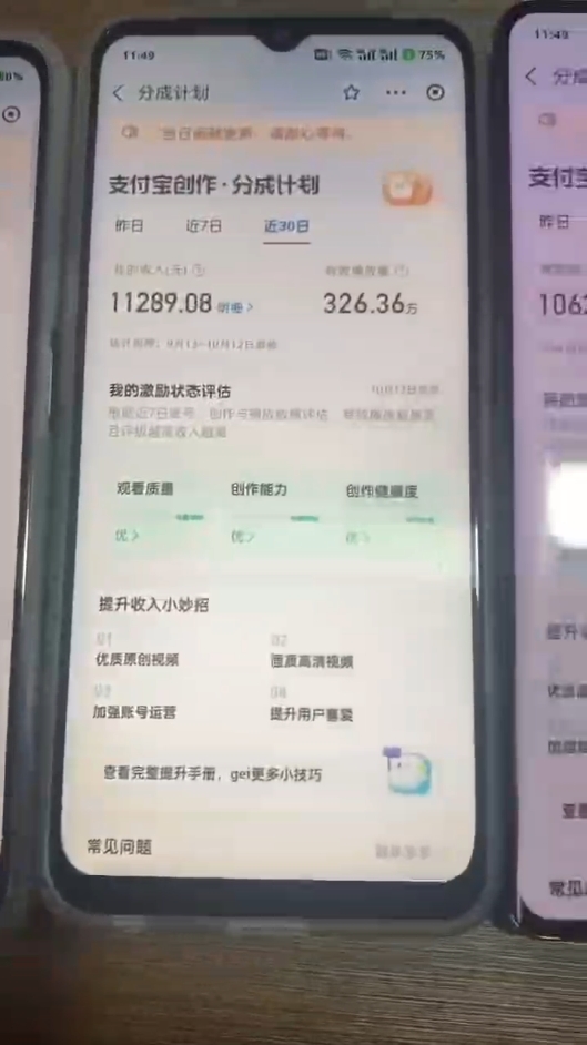 (12970期)2024年底最稳项目,小白无门槛,坚持做三个月,回家过肥年!!!-研习库