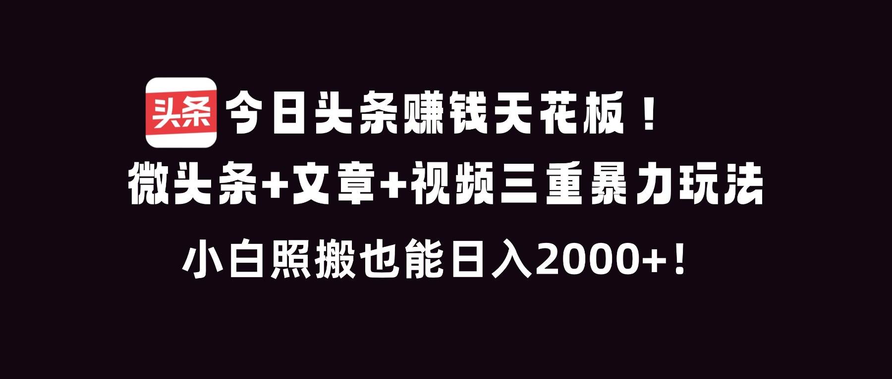 （16888期）今日头条赚钱天花板！微头条+文章+视频三重暴利玩法，小白照搬也能日人2000+-研习库