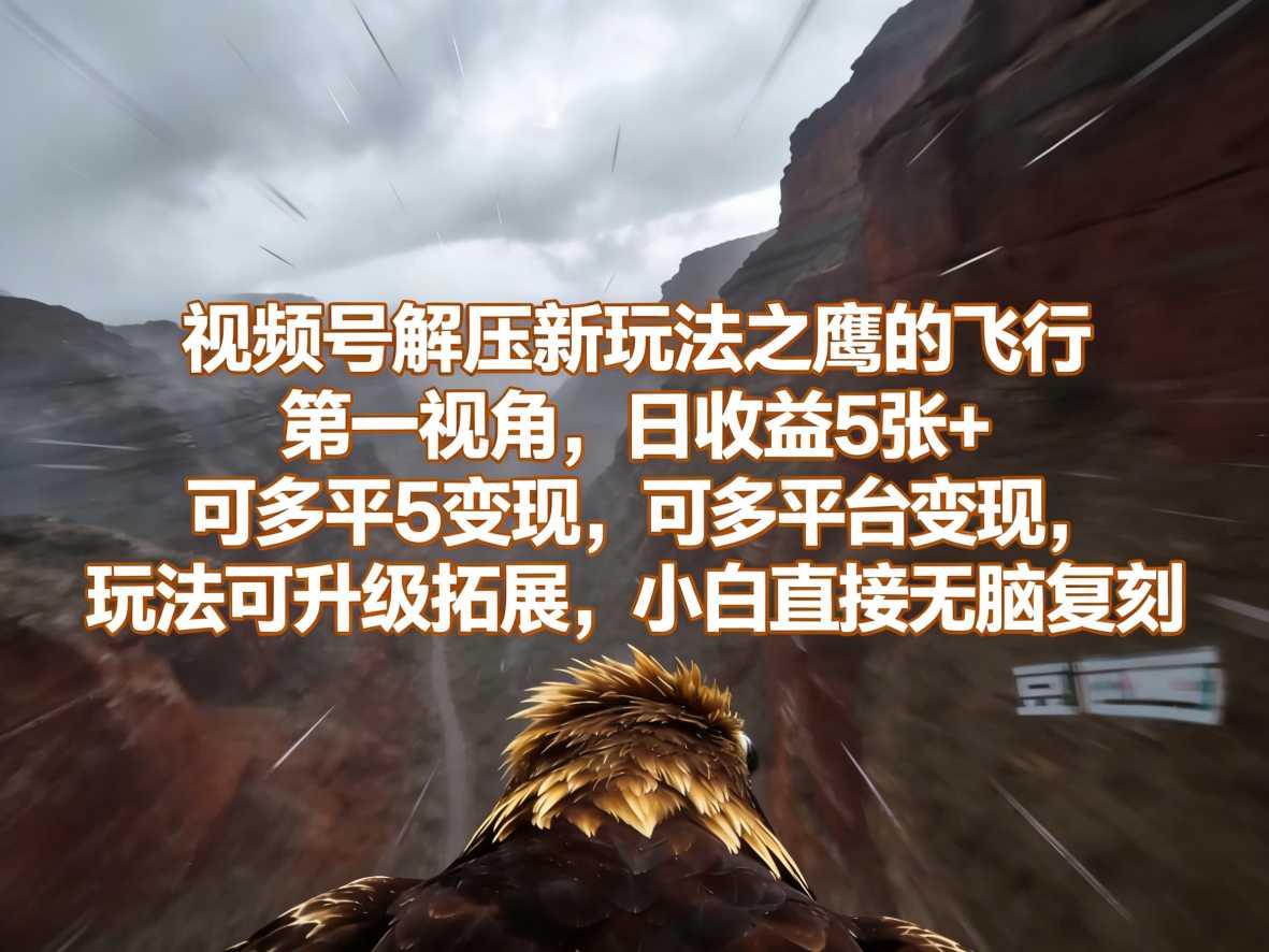 视频号解压新玩法之鹰的飞行第一视角,日收益5张+,可多平台变现,玩法可升级拓展,小白直接无脑复刻-研习库